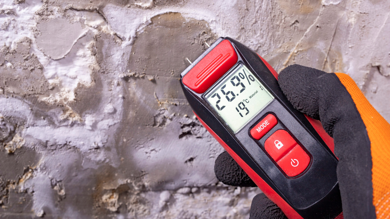 Damp-meter-for-checking-damp-in-walls-of-property